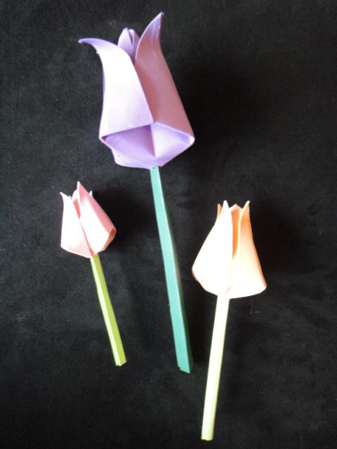 origami ของรูปแบบ tulip กระดาษ