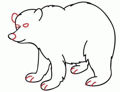 วิธีการวาดหมี: คำแนะนำแบบทีละขั้นตอน