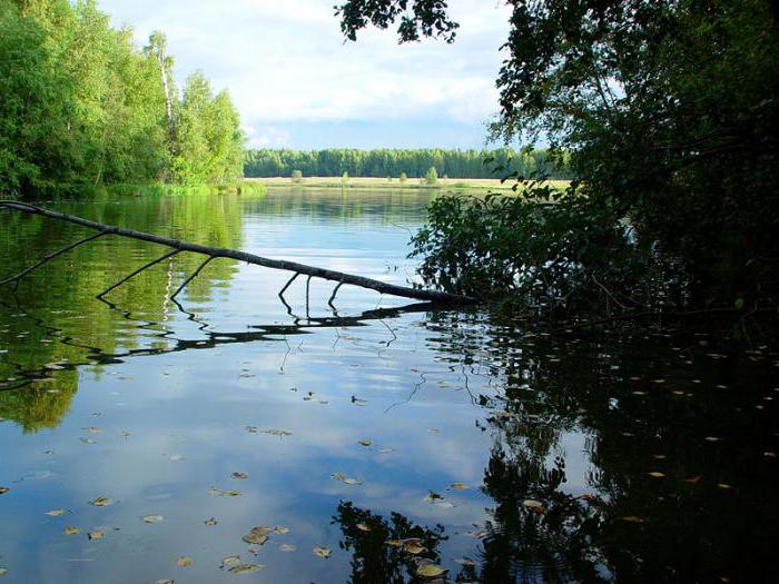 อ่างเก็บน้ำ Verkhnoruzskoe: อธิบายการตกปลาและภาพถ่าย