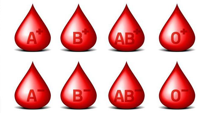 กฎสำหรับการกำหนดกลุ่มเลือดตามระบบ ABO